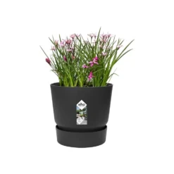 Greenville Round Pot Black -Plant Verdant Sales pr2000038224 card3 lg
