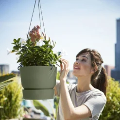 Greenville Hanging Basket Green -Plant Verdant Sales pr2000038231 card4 lg