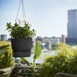 Greenville Hanging Basket Black -Plant Verdant Sales pr2000038232 card3 lg