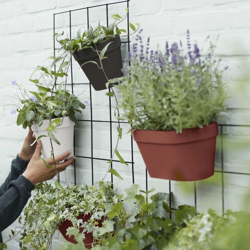 Loft Urban Green Wall Rack Black 2 Loft Urban Green Wall Rack Black - Image 2