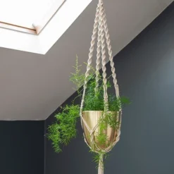 Macrame Hanger With Brushed Brass Pot -Plant Verdant Sales pr2000038571 card4 lg