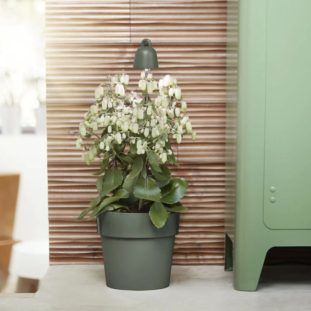 Leaf Grow Light 2 Leaf Grow Light - Image 2