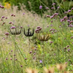 Flower Stake Tealight Holder - Antique Brass 12 Flower Stake Tealight Holder - Antique Brass -Plant Verdant Sales pr2000040770 card6 lg