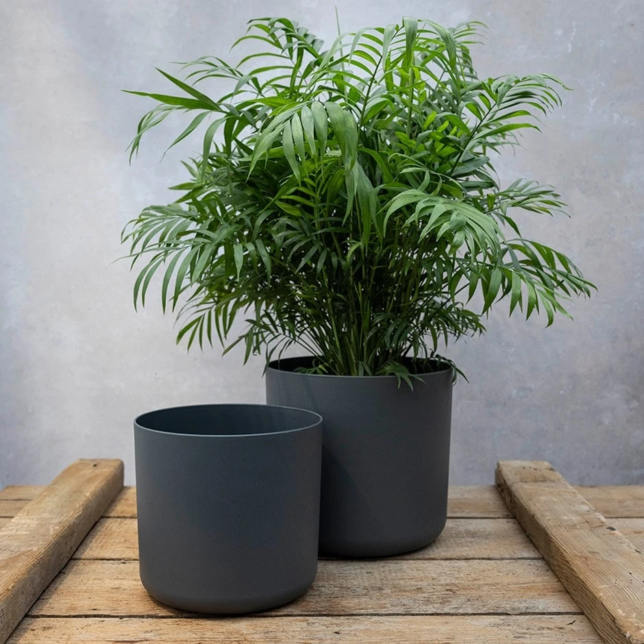 Straight Edged Plant Pot - Black 1 Straight Edged Plant Pot - Black