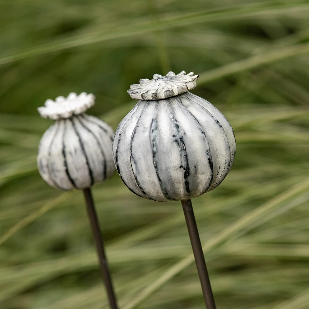 Perennial Plant/bulb Marking Stake Poppy Seed Head 2 Perennial Plant/bulb Marking Stake Poppy Seed Head - Image 2