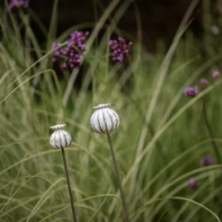Perennial Plant/bulb Marking Stake Poppy Seed Head 11 Perennial Plant/bulb Marking Stake Poppy Seed Head -Plant Verdant Sales pr2000041720 card5 lg
