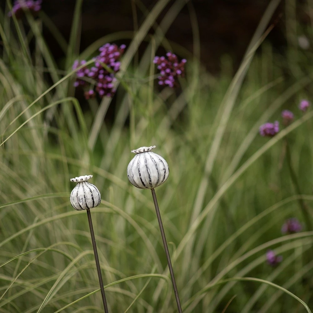 Perennial Plant/bulb Marking Stake Poppy Seed Head 5 Perennial Plant/bulb Marking Stake Poppy Seed Head - Image 5