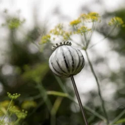 Perennial Plant/bulb Marking Stake Poppy Seed Head 13 Perennial Plant/bulb Marking Stake Poppy Seed Head -Plant Verdant Sales pr2000041720 card7 lg