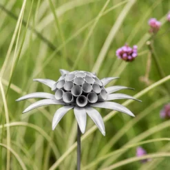 Scabiosa 'deadhead' Stake - Aged Zinc -Plant Verdant Sales pr2000041722 card5 lg