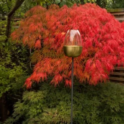 Tulip Stake Tealight Holder (adjustable Height) - Brushed Brass -Plant Verdant Sales pr2000041729 card6 lg