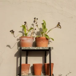 Wall Plant Display 9 Wall Plant Display -Plant Verdant Sales pr2000041734 card5 lg