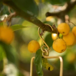 Hanging Tealight Lantern - Brass -Plant Verdant Sales pr2000041742 card5 lg