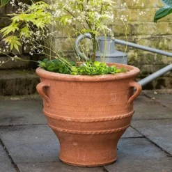 Thrapsano Terracotta Pot -Plant Verdant Sales pr2000042800 card3 lg