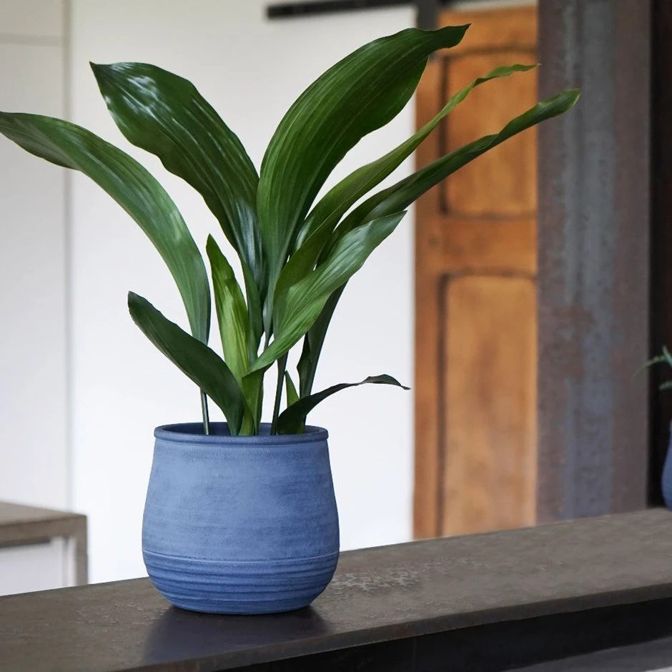 Handthrown Terracotta Plant Pot - Blue 1 Handthrown Terracotta Plant Pot - Blue