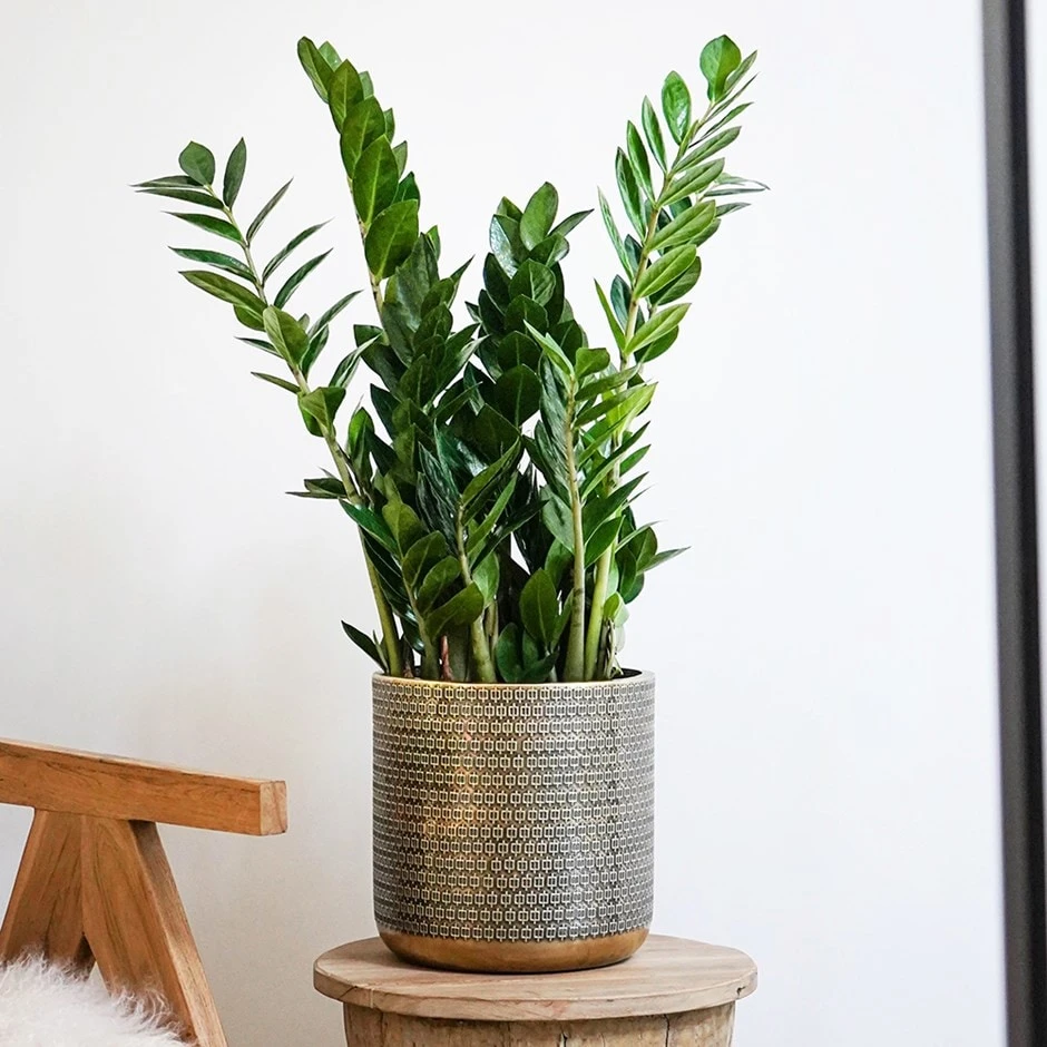 Steel Embossed Plant Pot - Gold 1 Steel Embossed Plant Pot - Gold