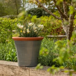 Grey Kitchen Planter 15 Grey Kitchen Planter -Plant Verdant Sales pr2000044988 card8 lg