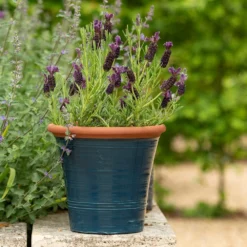 Dark Teal Kitchen Planter 14 Dark Teal Kitchen Planter -Plant Verdant Sales pr2000044992 card7 lg