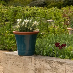 Dark Teal Kitchen Planter 15 Dark Teal Kitchen Planter -Plant Verdant Sales pr2000044992 card8 lg