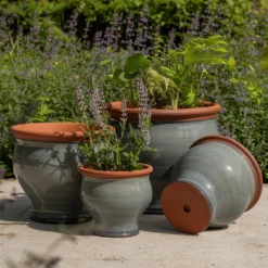 Grey Bellied Planter 9 Grey Bellied Planter -Plant Verdant Sales pr2000045000 card5 lg