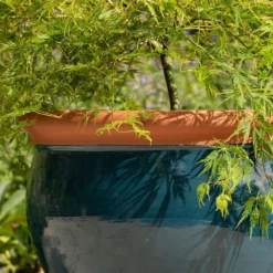 Dark Teal Bellied Planter 7 Dark Teal Bellied Planter -Plant Verdant Sales pr2000045004 card3 lg