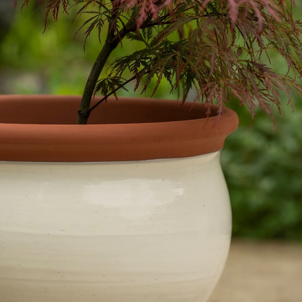 Ivory Bellied Planter 3 Ivory Bellied Planter - Image 3