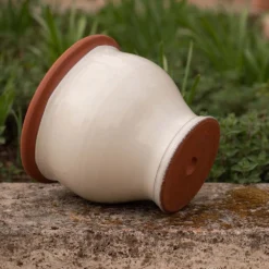 Ivory Bellied Planter 11 Ivory Bellied Planter -Plant Verdant Sales pr2000045026 card4 lg