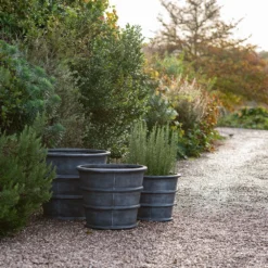 Greystoke Ribbed Planter - Aged Zinc 14 Greystoke Ribbed Planter - Aged Zinc -Plant Verdant Sales pr2000046295 card5 lg