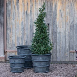 Greystoke Ribbed Planter - Aged Zinc 15 Greystoke Ribbed Planter - Aged Zinc -Plant Verdant Sales pr2000046295 card6 lg