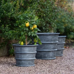 Greystoke Ribbed Planter - Aged Zinc 18 Greystoke Ribbed Planter - Aged Zinc -Plant Verdant Sales pr2000046295 card9 lg