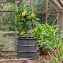 Greystoke Barrel Planter -Plant Verdant Sales pr2000046297 card7 lg