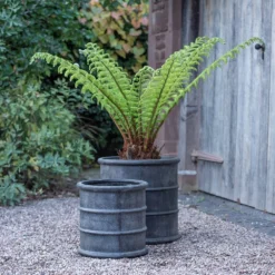 Greystoke Barrel Planter -Plant Verdant Sales pr2000046297 card9 lg