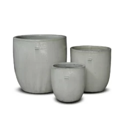 Glazed Ceramic Pot - White 17 Glazed Ceramic Pot - White -Plant Verdant Sales pr2000046300 card9 lg