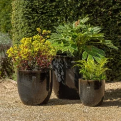 Glazed Ceramic Pot - Misty Black 8 Glazed Ceramic Pot - Misty Black -Plant Verdant Sales pr2000046301 card3 lg