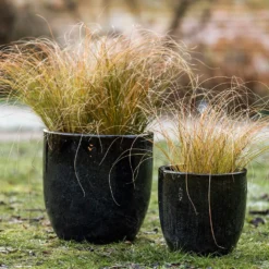 Glazed Ceramic Pot - Misty Black 10 Glazed Ceramic Pot - Misty Black -Plant Verdant Sales pr2000046301 card5 lg