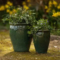 Glazed Terracotta Tulip Pot - Misty Green -Plant Verdant Sales pr2000046304 card4 lg