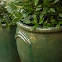 Glazed Terracotta Tulip Pot - Misty Green -Plant Verdant Sales pr2000046304 card5 lg