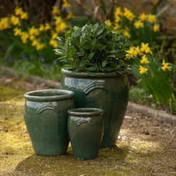 Glazed Terracotta Tulip Pot - Misty Green -Plant Verdant Sales pr2000046304 card6 lg