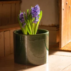 Glazed Ceramic Cylinder Crackle Green 11 Glazed Ceramic Cylinder Crackle Green -Plant Verdant Sales pr2000046309 card6 lg