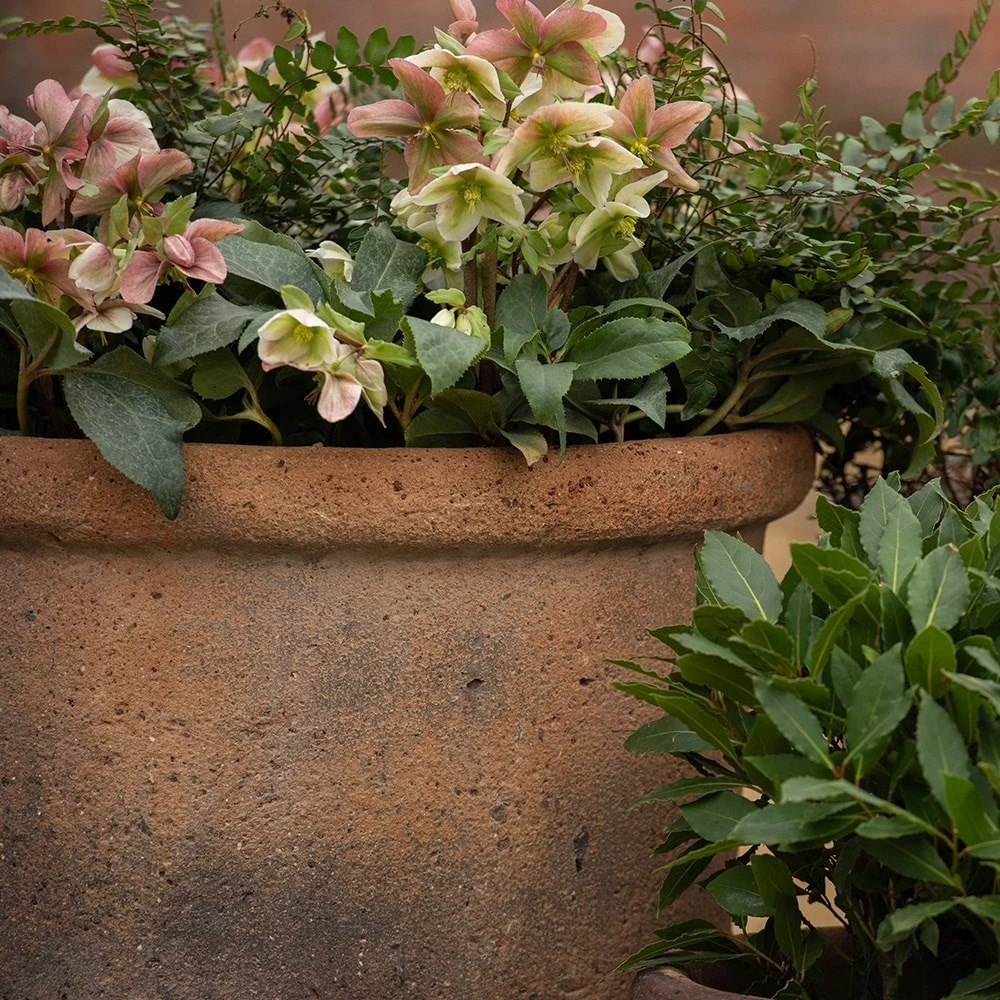 Terracotta Pot - Sandblasted 2 Terracotta Pot - Sandblasted - Image 2