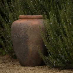 Terracotta Jar - Sandblasted 9 Terracotta Jar - Sandblasted -Plant Verdant Sales pr2000046313 card3 lg