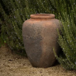 Terracotta Jar - Sandblasted 13 Terracotta Jar - Sandblasted -Plant Verdant Sales pr2000046313 card7 lg