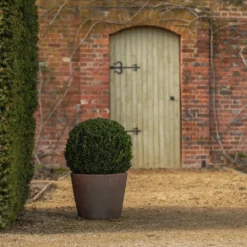 Tapered Terracotta Pot - Sandblasted -Plant Verdant Sales pr2000046314 card6 lg