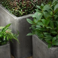 Cement Cube Pot - Waxed 9 Cement Cube Pot - Waxed -Plant Verdant Sales pr2000046317 card3 lg