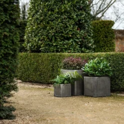 Cement Cube Pot - Waxed 12 Cement Cube Pot - Waxed -Plant Verdant Sales pr2000046317 card6 lg