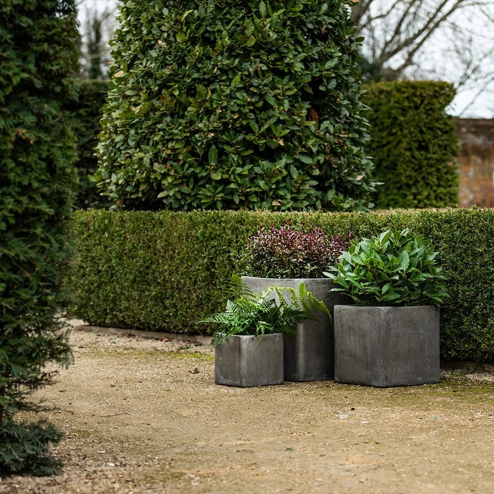 Cement Cube Pot - Waxed 6 Cement Cube Pot - Waxed - Image 6