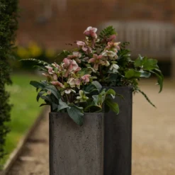 Tall Cement Cube Pot - Waxed -Plant Verdant Sales pr2000046318 card7 lg