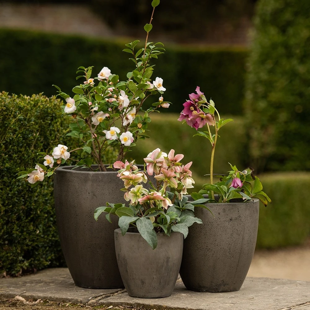 Cement Pot - Waxed 2 Cement Pot - Waxed - Image 2