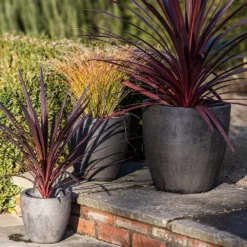 Cement Pot - Waxed 10 Cement Pot - Waxed -Plant Verdant Sales pr2000046322 card5 lg