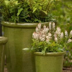 Glazed Ceramic Pot - Green 7 Glazed Ceramic Pot - Green -Plant Verdant Sales pr2000046324 card4 lg