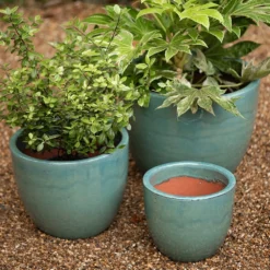 Glazed Terracotta Pot - Reef Blue -Plant Verdant Sales pr2000046329 card4 lg